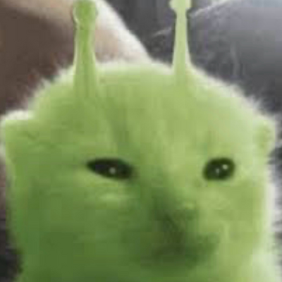 @kitty_paoN