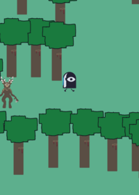 99 nights in the forest