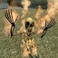 scranity avatar