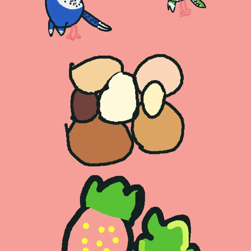 Birds by @MonikaDdlcforlife
