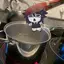 RazzleBerries avatar