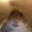 Sentient_Traveler avatar