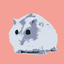 hammies avatar