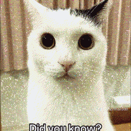 @-_mel_leaf_cat_-