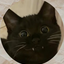 creamycatzz avatar
