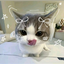 ur_local_kawaii avatar