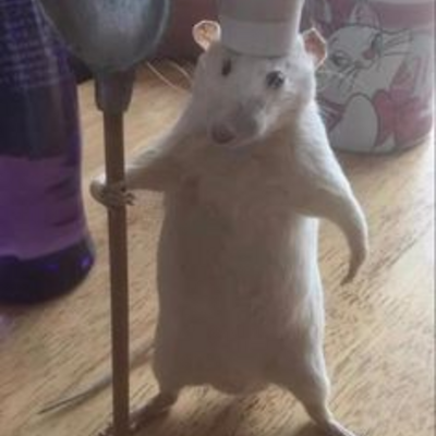@Chef_Mouse