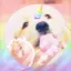 unipuppy_-_ avatar