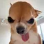 Generalmunchkin avatar