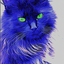 Catandbluee avatar