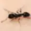 Johann320 avatar