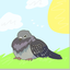 floofy_pidgey avatar