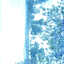 fanto avatar