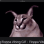 floppagaming709 avatar
