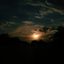 dgydrdttisu64 avatar