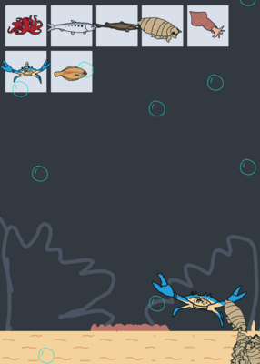 snapshot