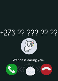Call wenda