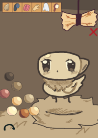 Take care of chicken Shelly