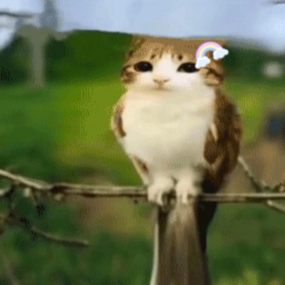 @meowl-rainbow