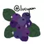 lucyam avatar