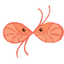 NoegarciaDeivid avatar