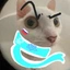 DiaNerdBlacker avatar