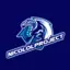 nicololproject avatar