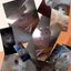 Cananbest99 avatar