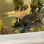 ImOBSESSEDwithAxolotls avatar