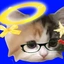 lora_cat_lol avatar