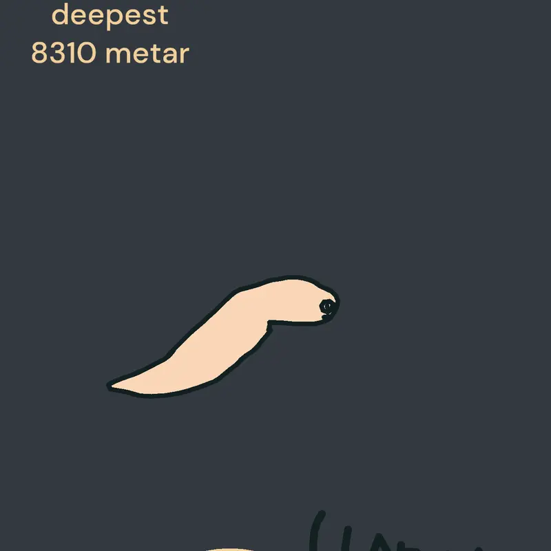 Game by @Blobfish_official2025