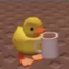 nolhsn_99 avatar