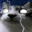 heidenyaelgome avatar