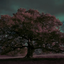 Thattree avatar