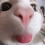 Toasty_lover avatar