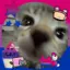 Sn0wba11_thek1tt3n avatar