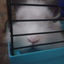 Bassi_bunny9 avatar
