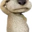 talkingbenno1fam avatar