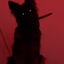 falldown avatar