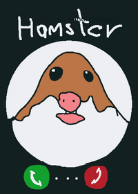 Hamster random game
