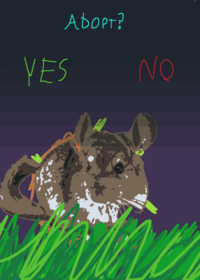 Adopt Szyszo?