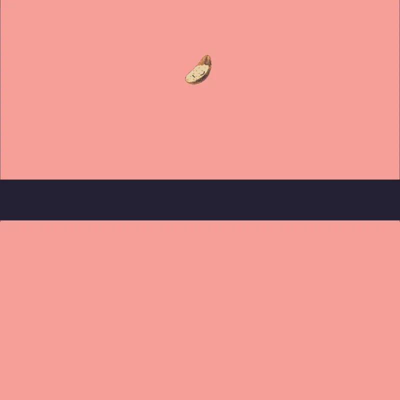 Game by @thechocolatechipcookie