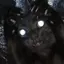 demon_cat666 avatar