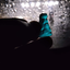 ice_cold avatar