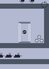 Void virus