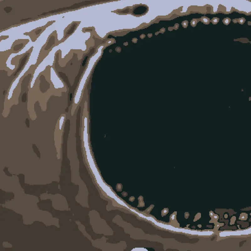 Game by @Light-X_x