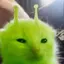 ET_CAT avatar