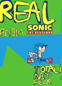 Sonic spiri run
