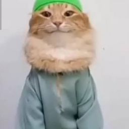 @_--meow