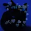 SkyuOfficialYtX33 avatar